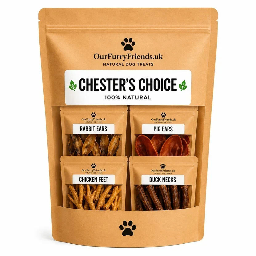 5 Signs You’re Feeding Your Dog Better Treats