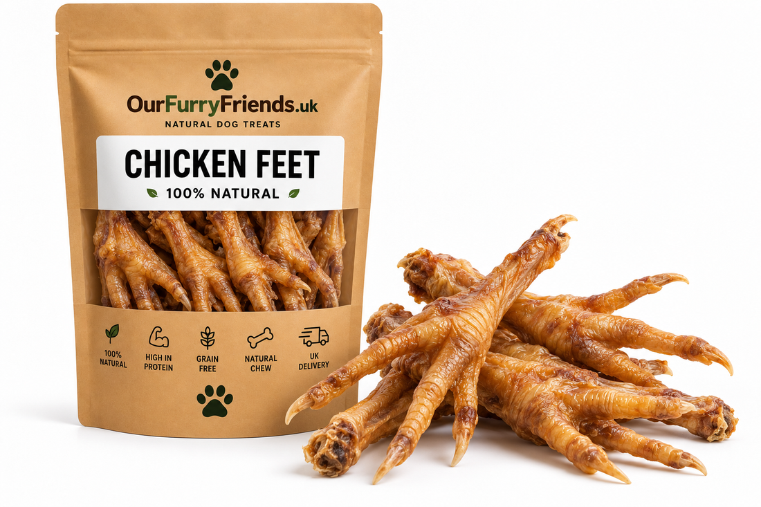 Can Dogs Eat Dried Chicken Feet? A Practical Guide