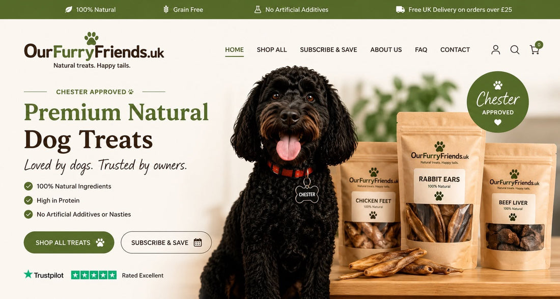 Black cockapoo sitting beside a selection of natural dog treats for the OurFurryFriends feeding guide.