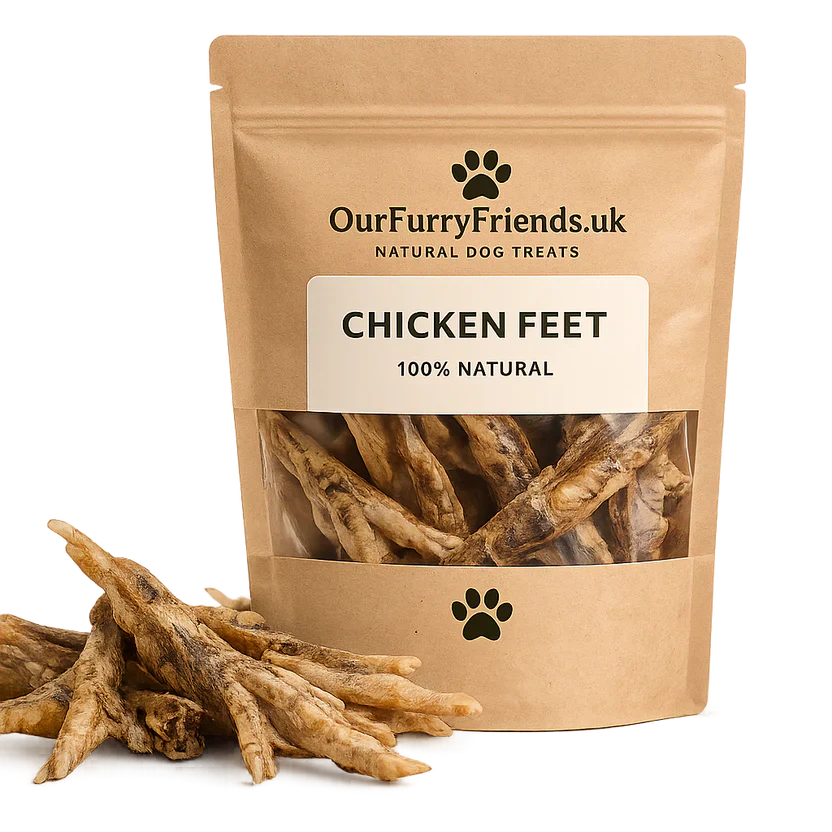 Benefits of Chicken Feet for Dogs