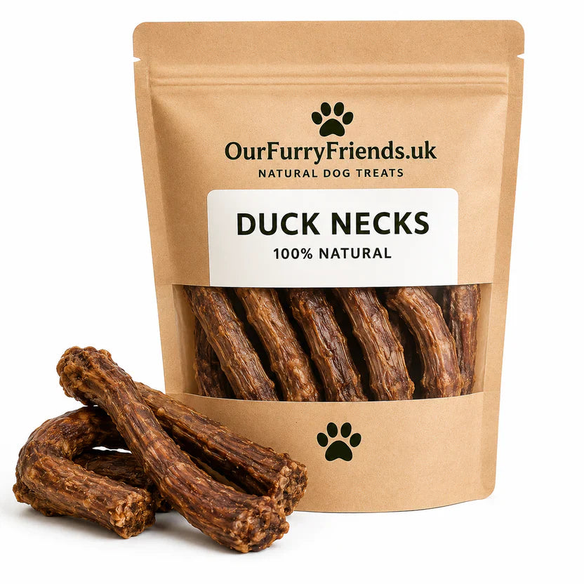 Are Duck Necks Safe For Dogs?