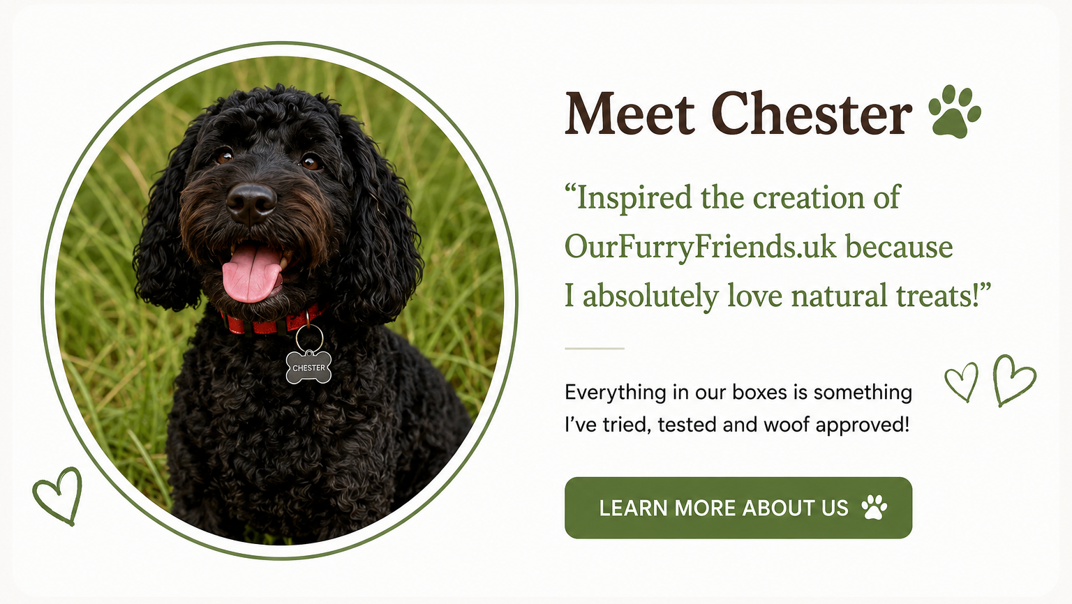 Chester the black Cockapoo, mascot of Our Furry Friends