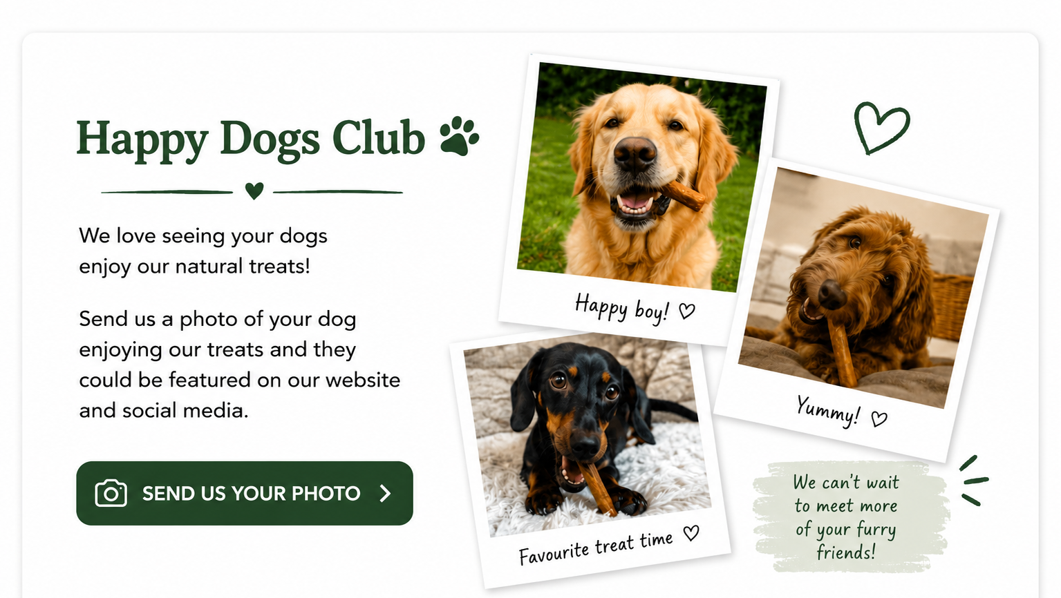 Happy dogs enjoying Our Furry Friends natural dog treats