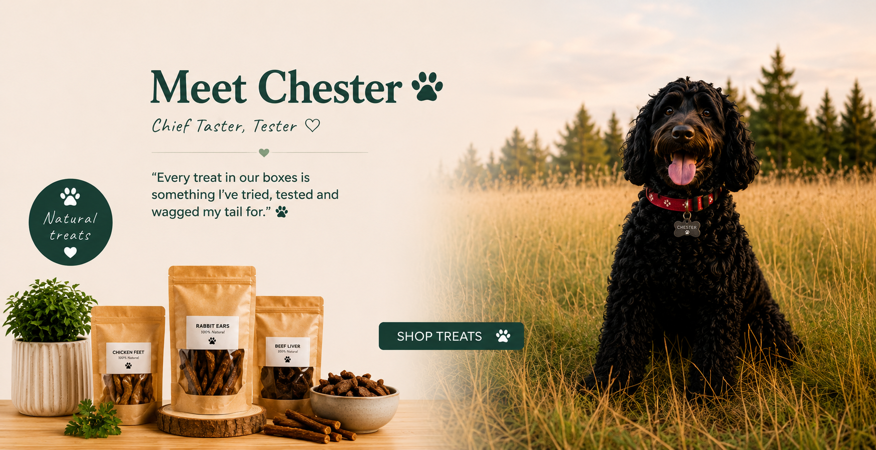 Chester the black Cockapoo enjoying Our Furry Friends natural dog treats